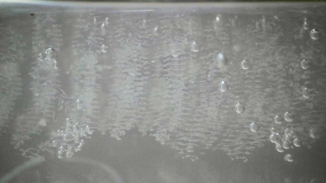 Close-up of rows of interwoven skeins inside the gel